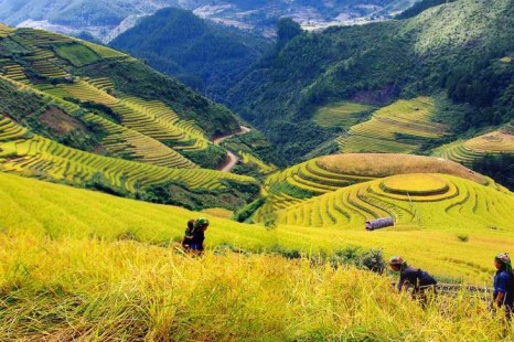 Tour Du Lịch Sài Gòn - Miền Trung - Miền Bắc (Sapa) 14 Ngày 14 Đêm